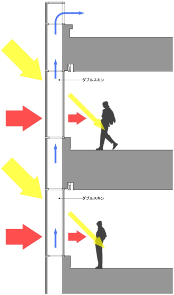 ダブルスキン