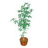 3d_benjamin01.armp