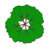pgn_pln_tree03.armp
