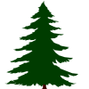 pgn_tree01.armp