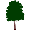 pgn_tree02.armp