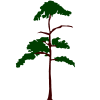 pgn_tree06.armp