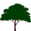 pgn_tree08.armp