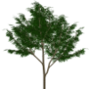 arakashi01.png